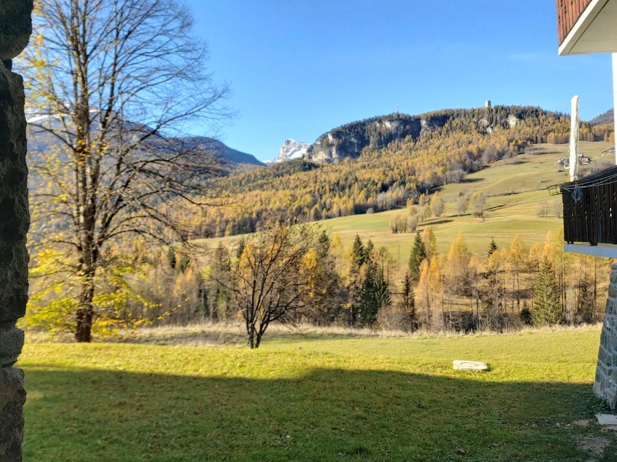Appartamento Stella Alpina Cortina dʼAmpezzo Eksteriør bilde