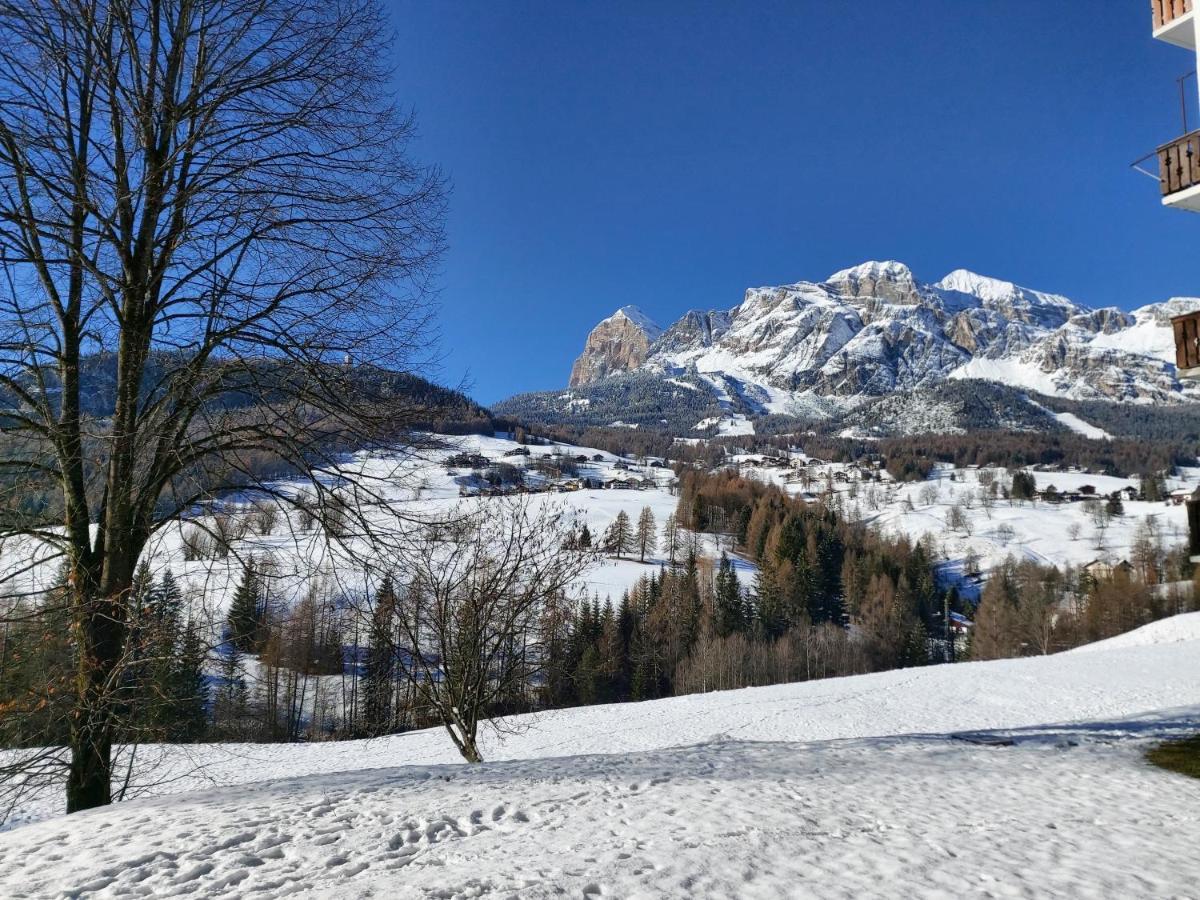 Appartamento Stella Alpina Cortina dʼAmpezzo Eksteriør bilde